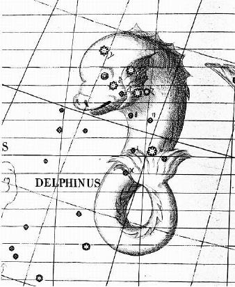 Delphinus2.jpg