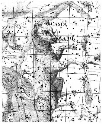 Canismajor2.jpg